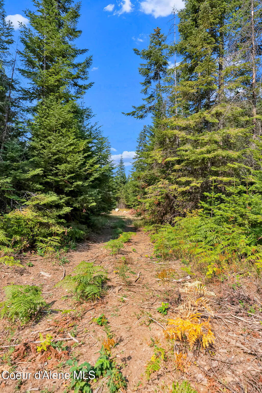 L13-b1 North Leonard Loop Athol, ID 83801 - Photo 11 of 27 Lot