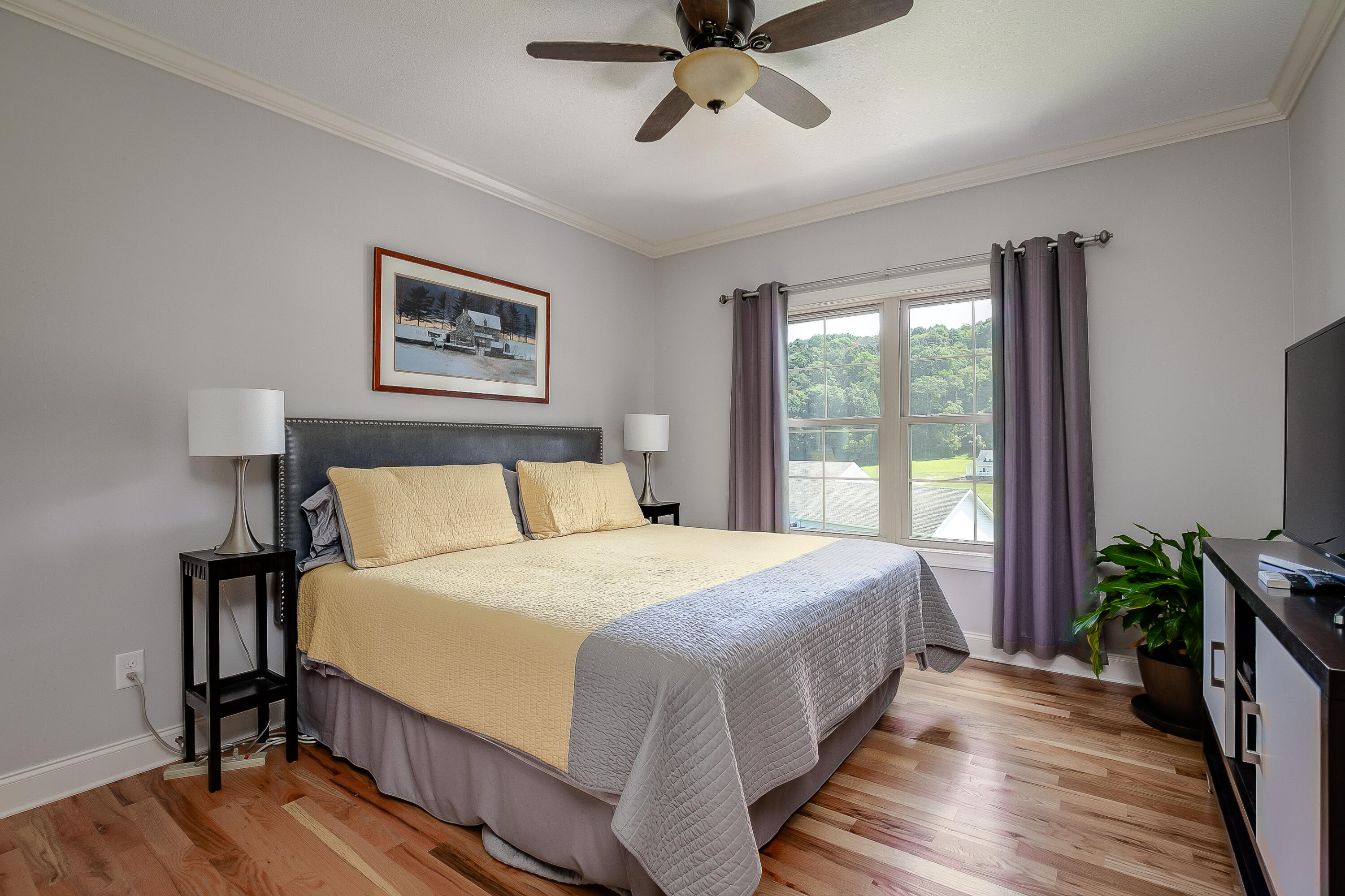 736 Hales Chapel Road Gray, TN 37615 - Photo 22 of 48 Hales Chapel-22