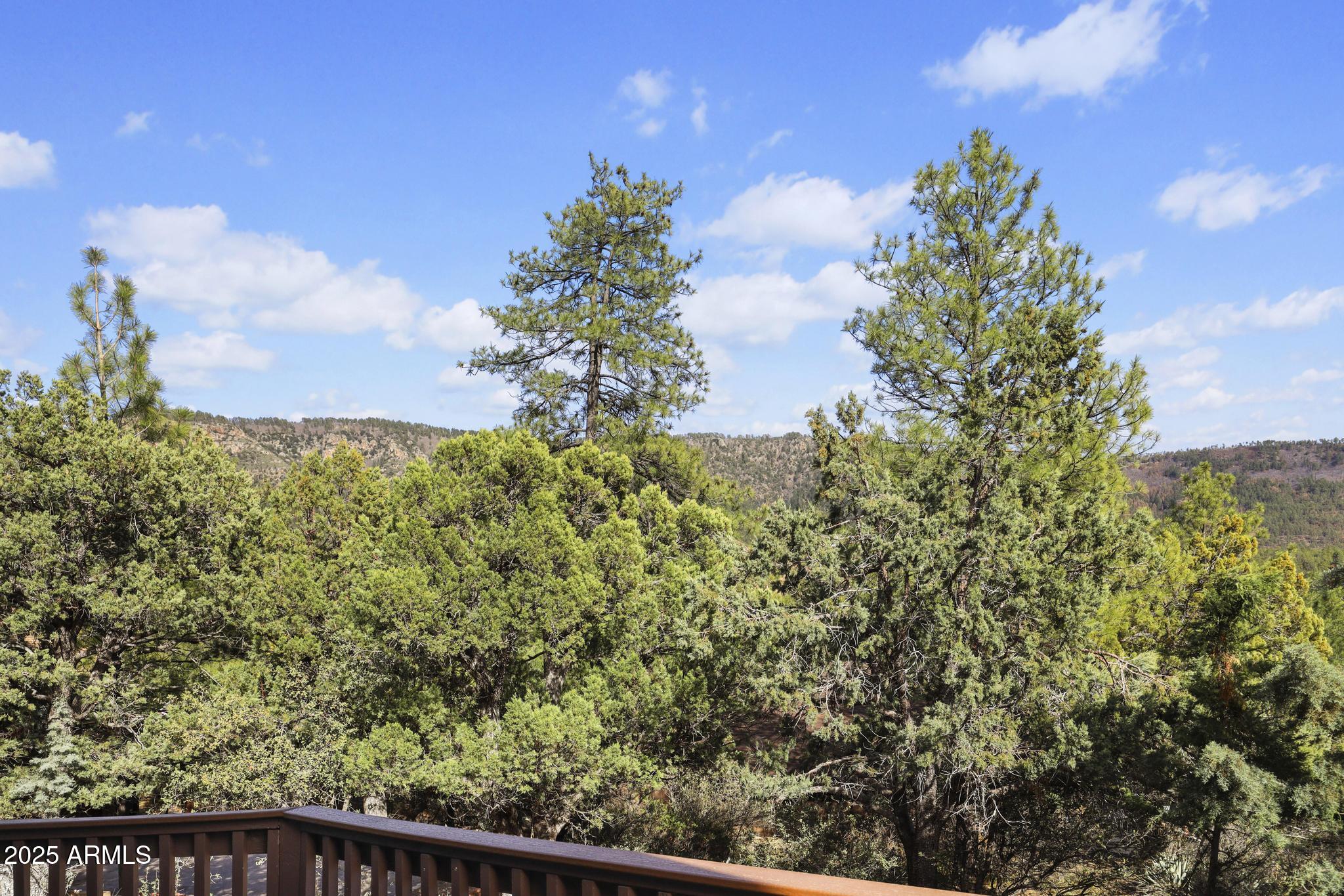4977 North N Trails Pine, AZ 85544 - Photo 10 of 28 a balcony with a tree