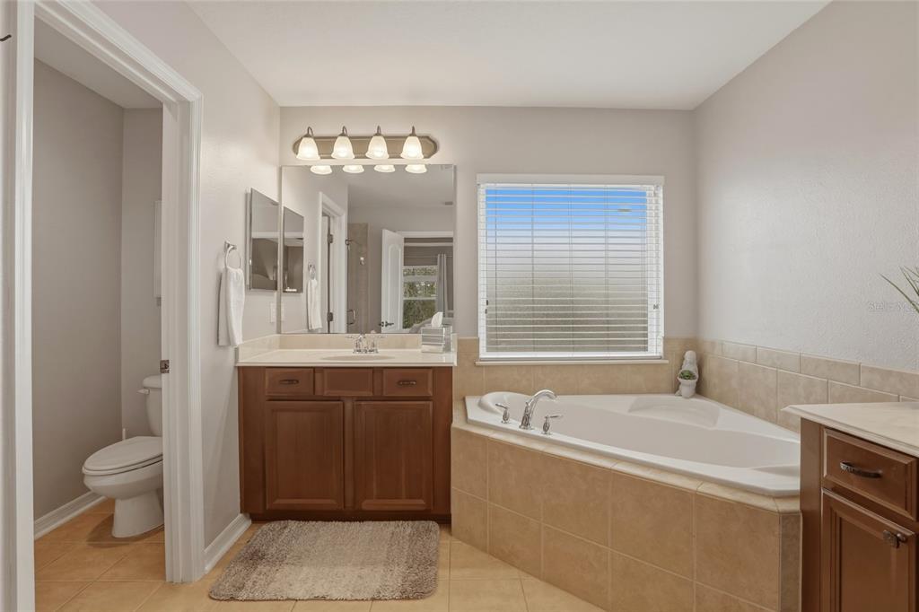 13013 Overstreet Road Windermere, FL 34786 - Photo 26 of 47 a bathroom with a tub a sink and a large mirror