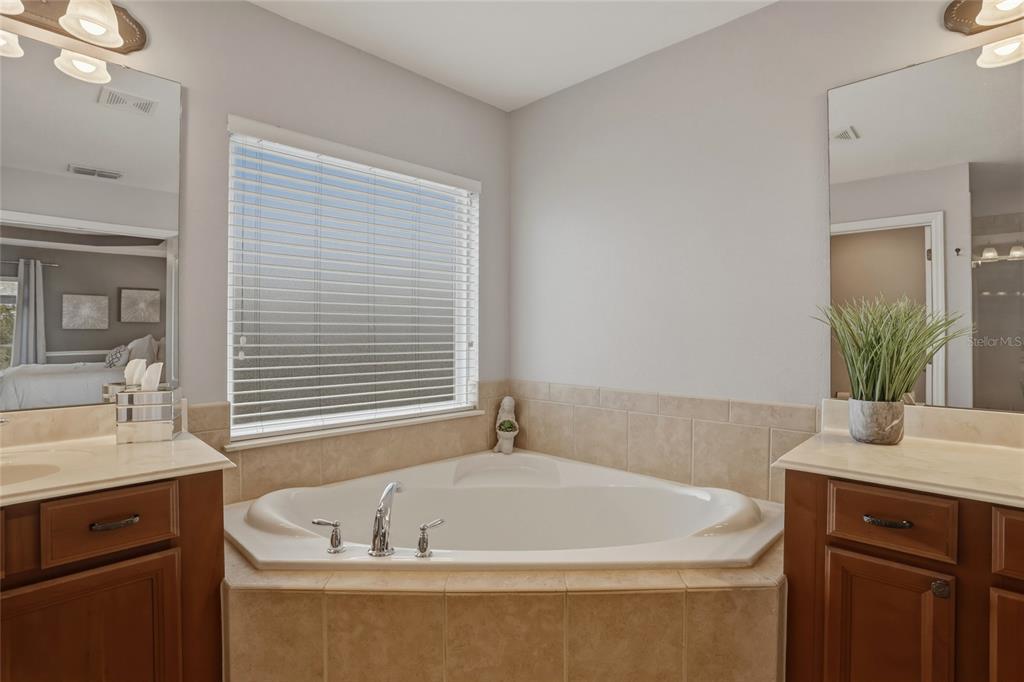 13013 Overstreet Road Windermere, FL 34786 - Photo 28 of 47 a bath tub sitting next to a bathroom sink