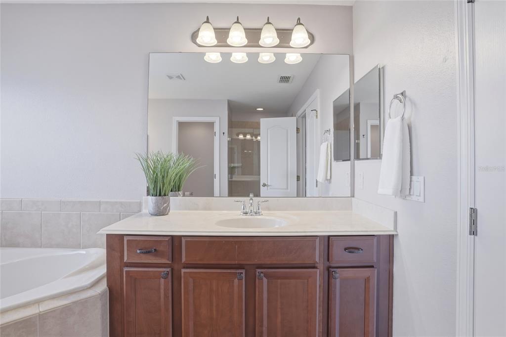13013 Overstreet Road Windermere, FL 34786 - Photo 30 of 47 a bathroom with a sink and a mirror