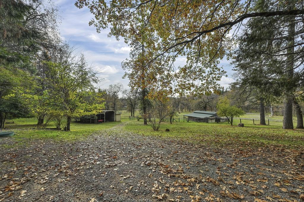 4400 Slodusty Road Garden Valley, CA 95633 - Photo 55 of 89