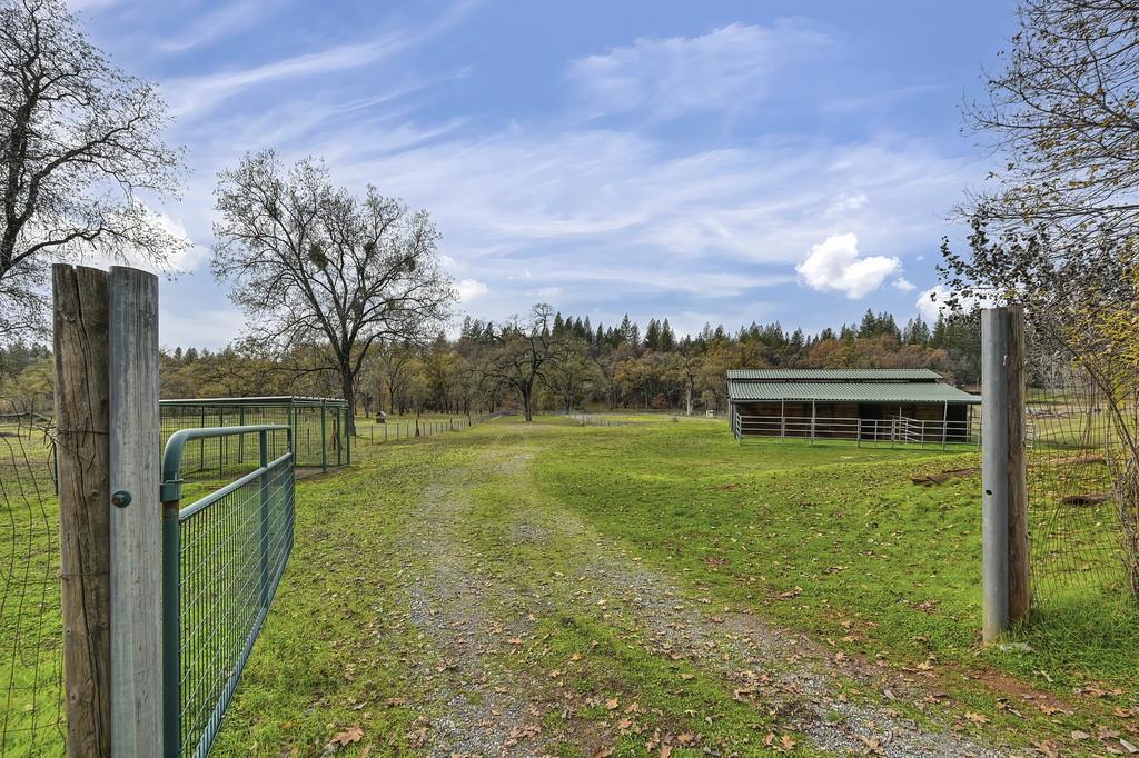 4400 Slodusty Road Garden Valley, CA 95633 - Photo 60 of 89