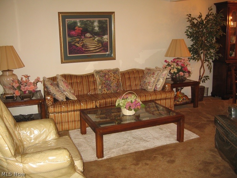 6288 South Cleveland Massillon Road Clinton, OH 44216 - Photo 3 of 8