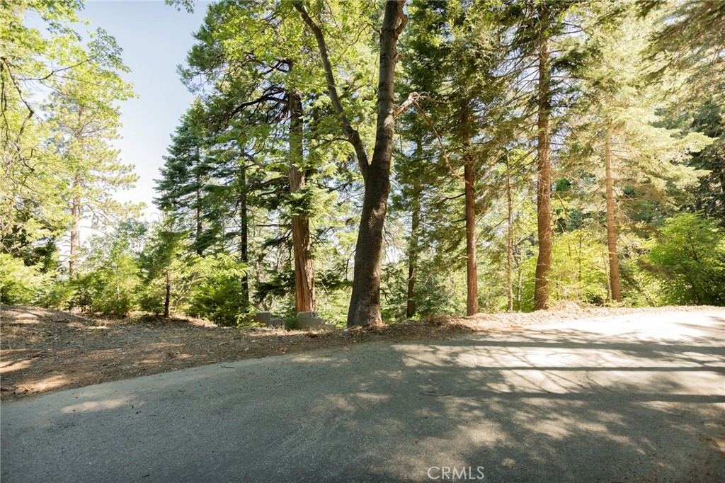 746 Blue Ridge Drive Skyforest, CA 92385 - Photo 4 of 18 Second angle of the street frontage
