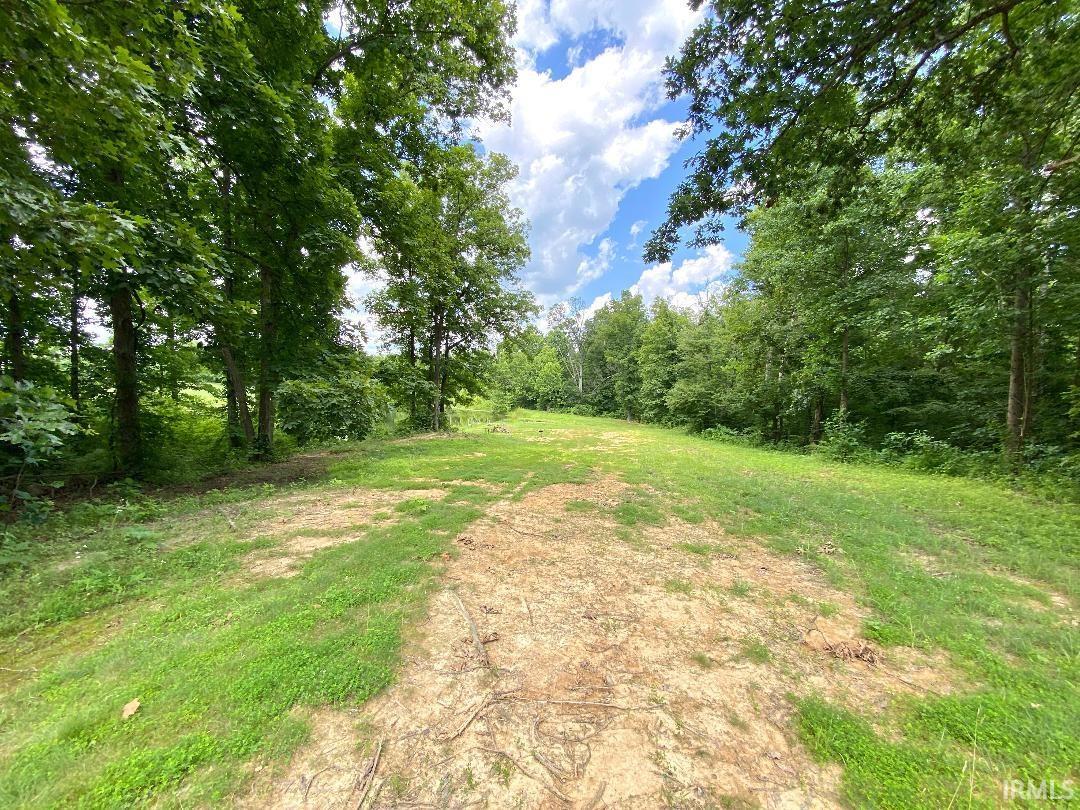 0 North Shingle Ml Road Bloomfield, IN 47424 - Photo 11 of 19