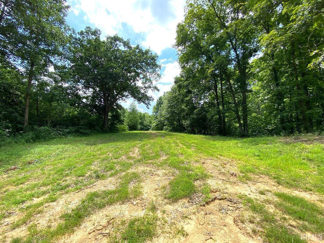 0 North Shingle Ml Road Bloomfield, IN 47424 - Photo 12 of 19