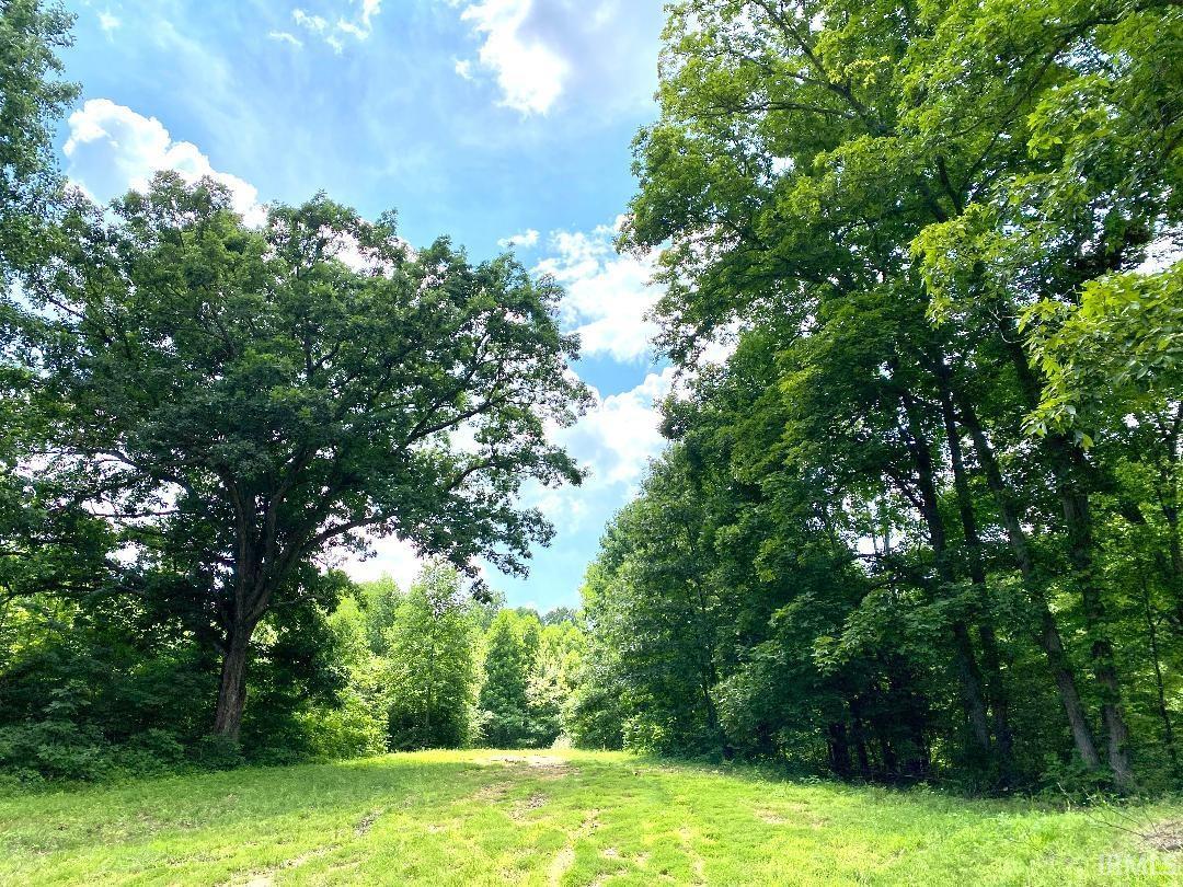 0 North Shingle Ml Road Bloomfield, IN 47424 - Photo 14 of 19