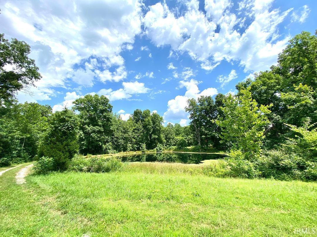 0 North Shingle Ml Road Bloomfield, IN 47424 - Photo 4 of 19