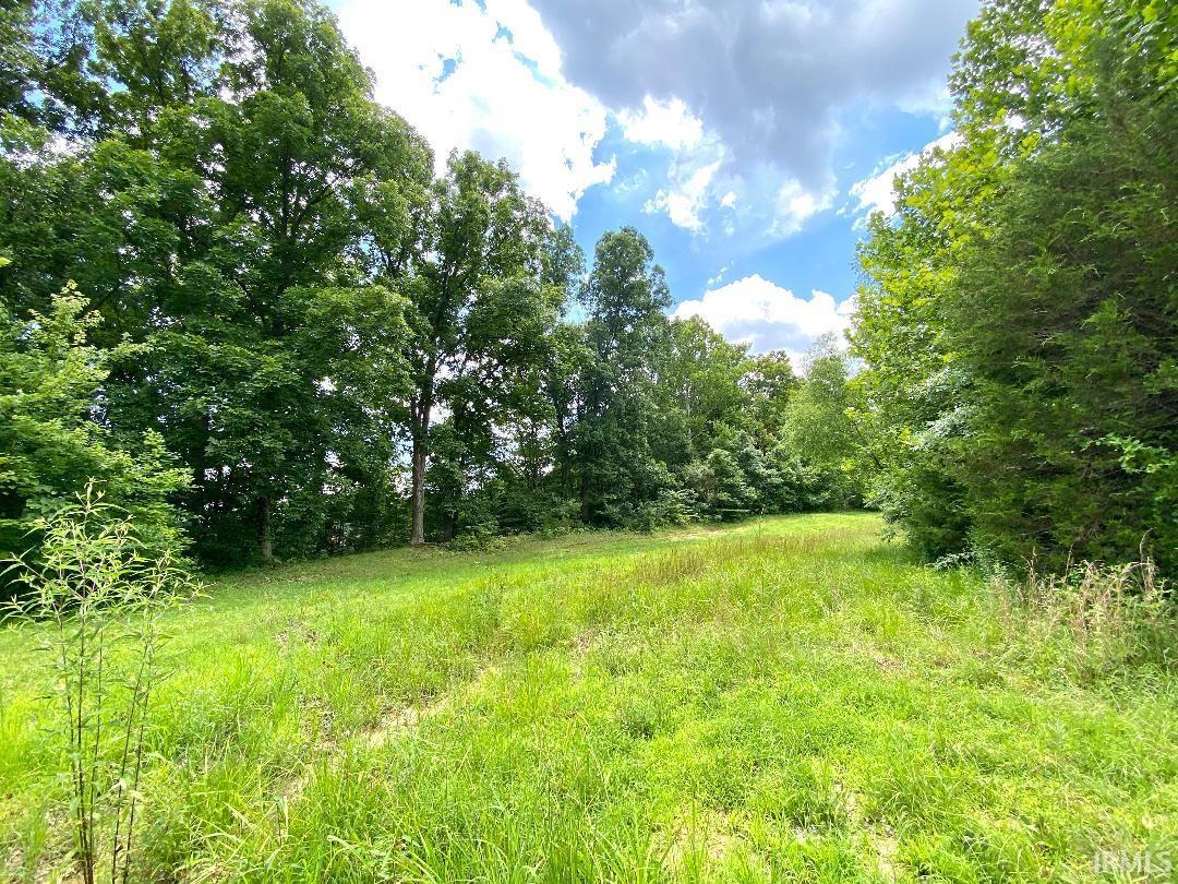 0 North Shingle Ml Road Bloomfield, IN 47424 - Photo 9 of 19