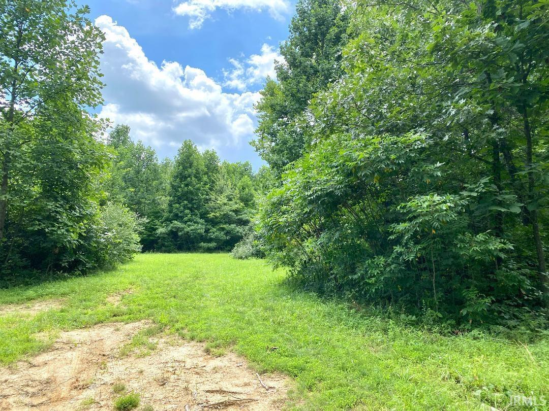 0 North Shingle Ml Road Bloomfield, IN 47424 - Photo 10 of 19