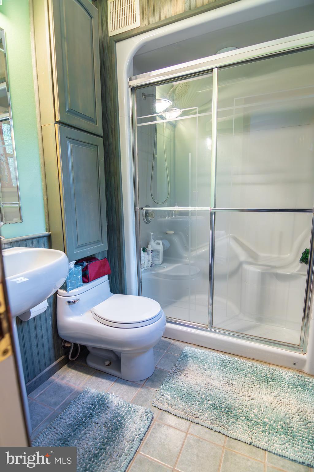 163 Rock Hill Church Road Stafford, VA 22556 - Photo 14 of 43 a bathroom with a toilet and a shower