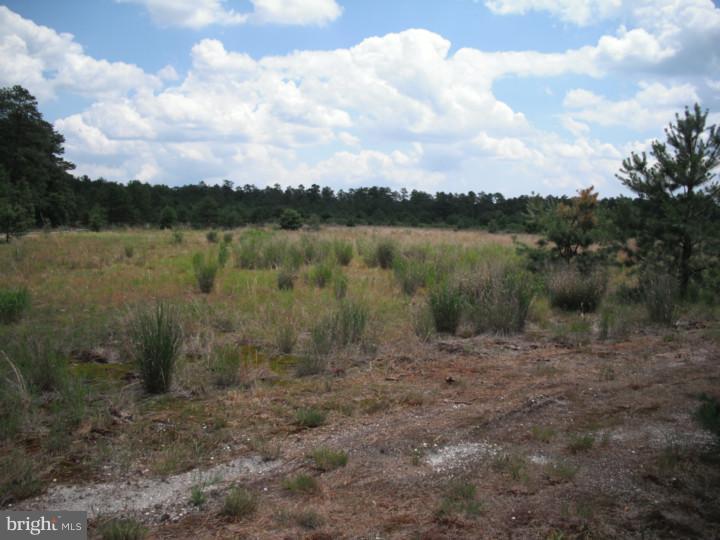 36 Eagle Road Vincentown, NJ 08088 - Photo 22 of 23
