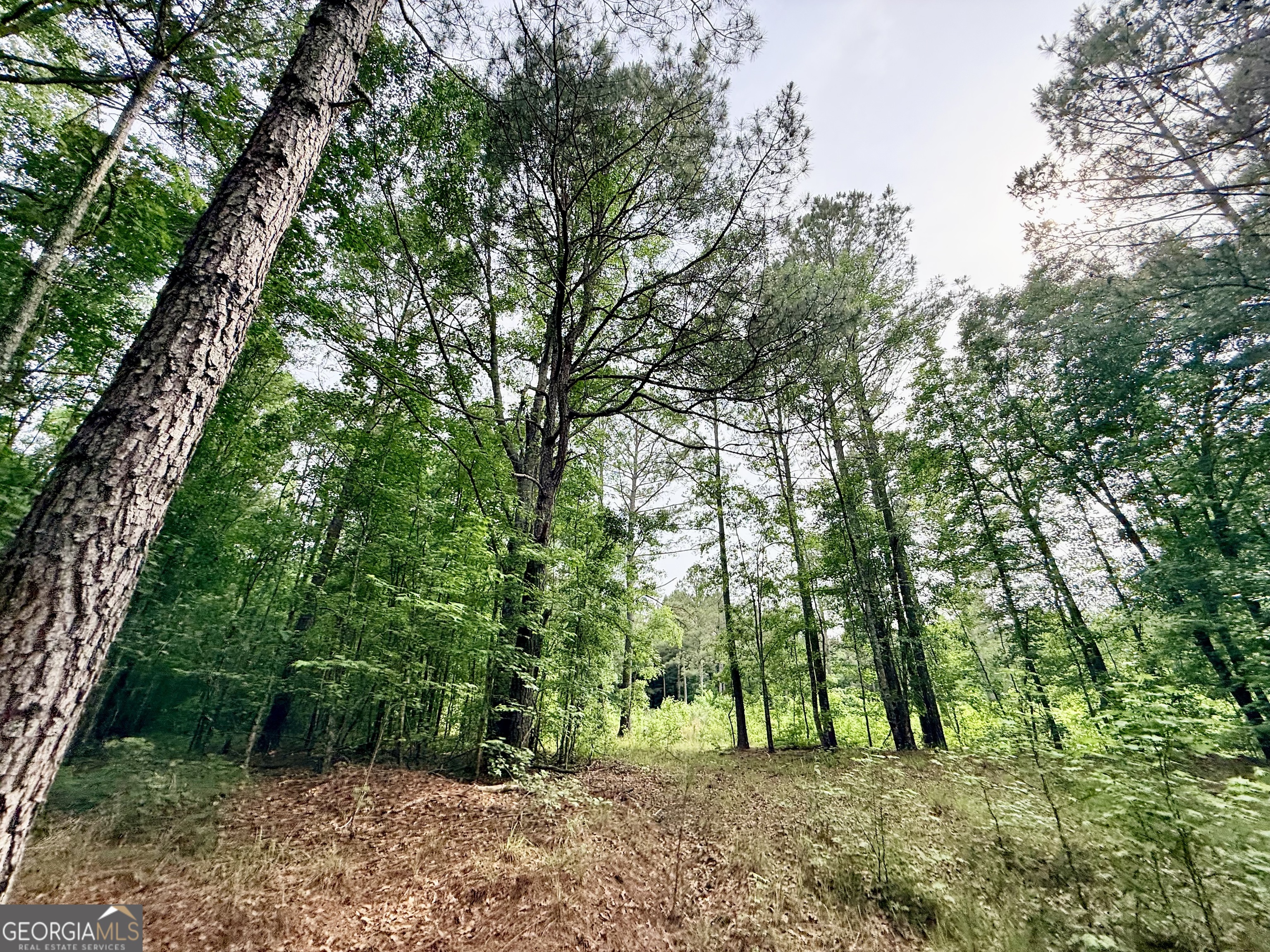 715 Fulsome Creek Road Sparta, GA 31087 - Photo 98 of 117