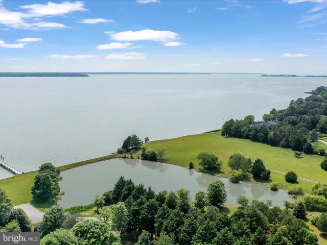a view of a park with tree s