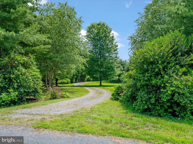 a view of a field with trees in the background