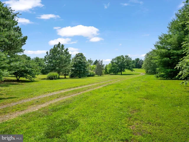 a view of a lake from a yard