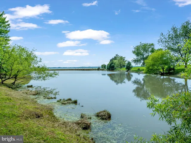 a view of yard and swimming pool with green space