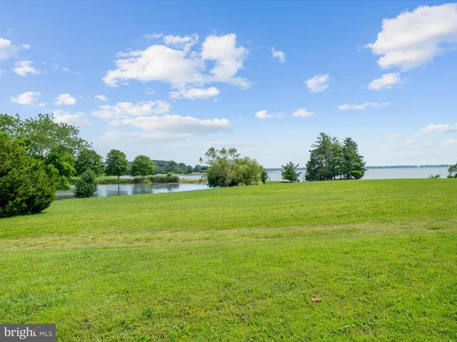 a view of a field with an trees in the background
