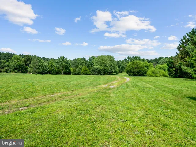 a view of a big yard with swimming pool and green space