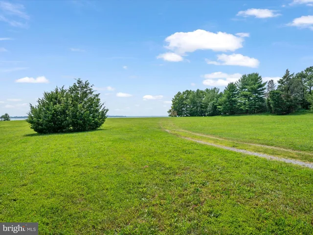 a view of a field of grass and trees