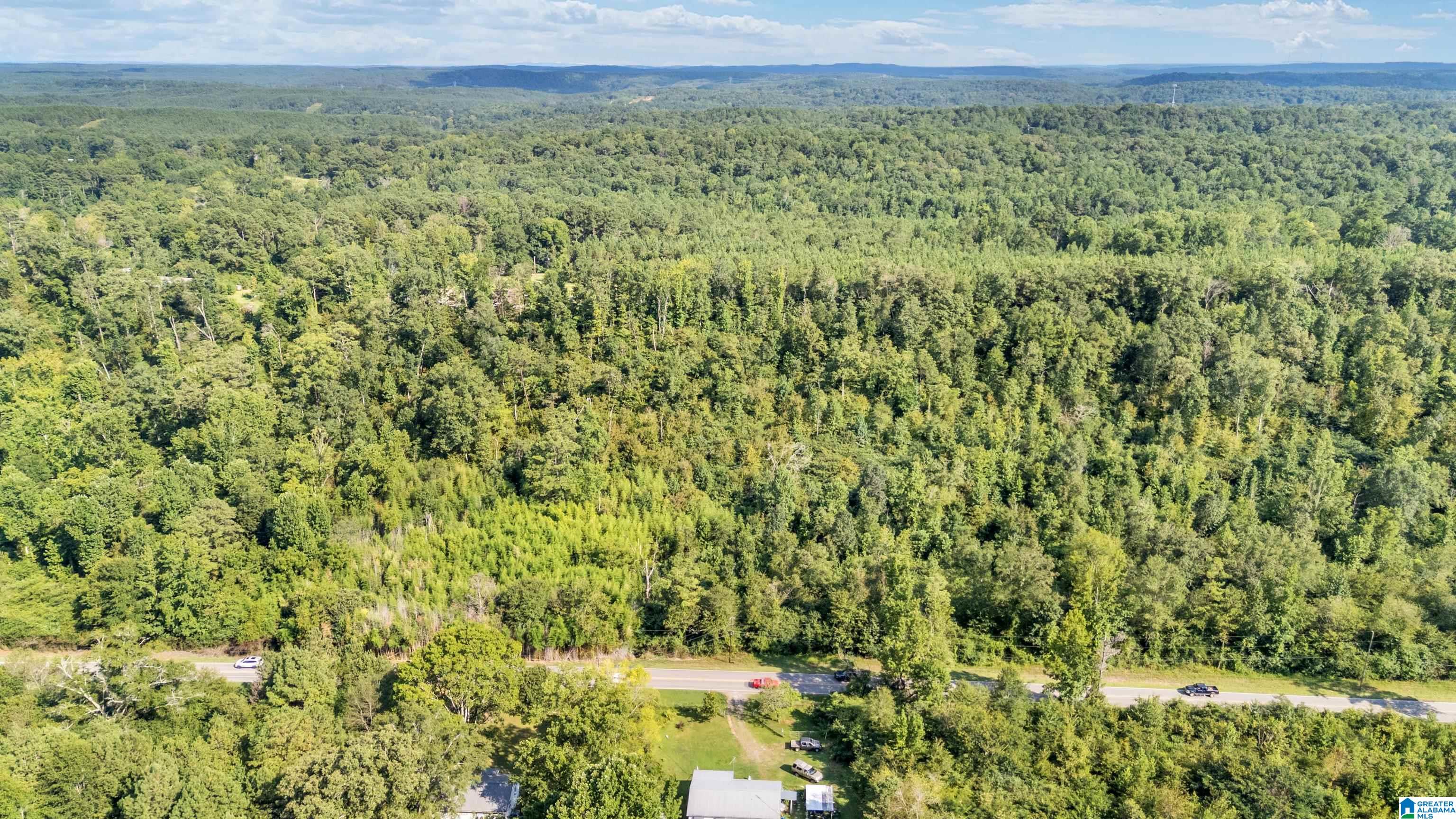 0 Warrior Jasper Road, Unit 23 AC Dora, AL 35062 - Photo 14 of 18