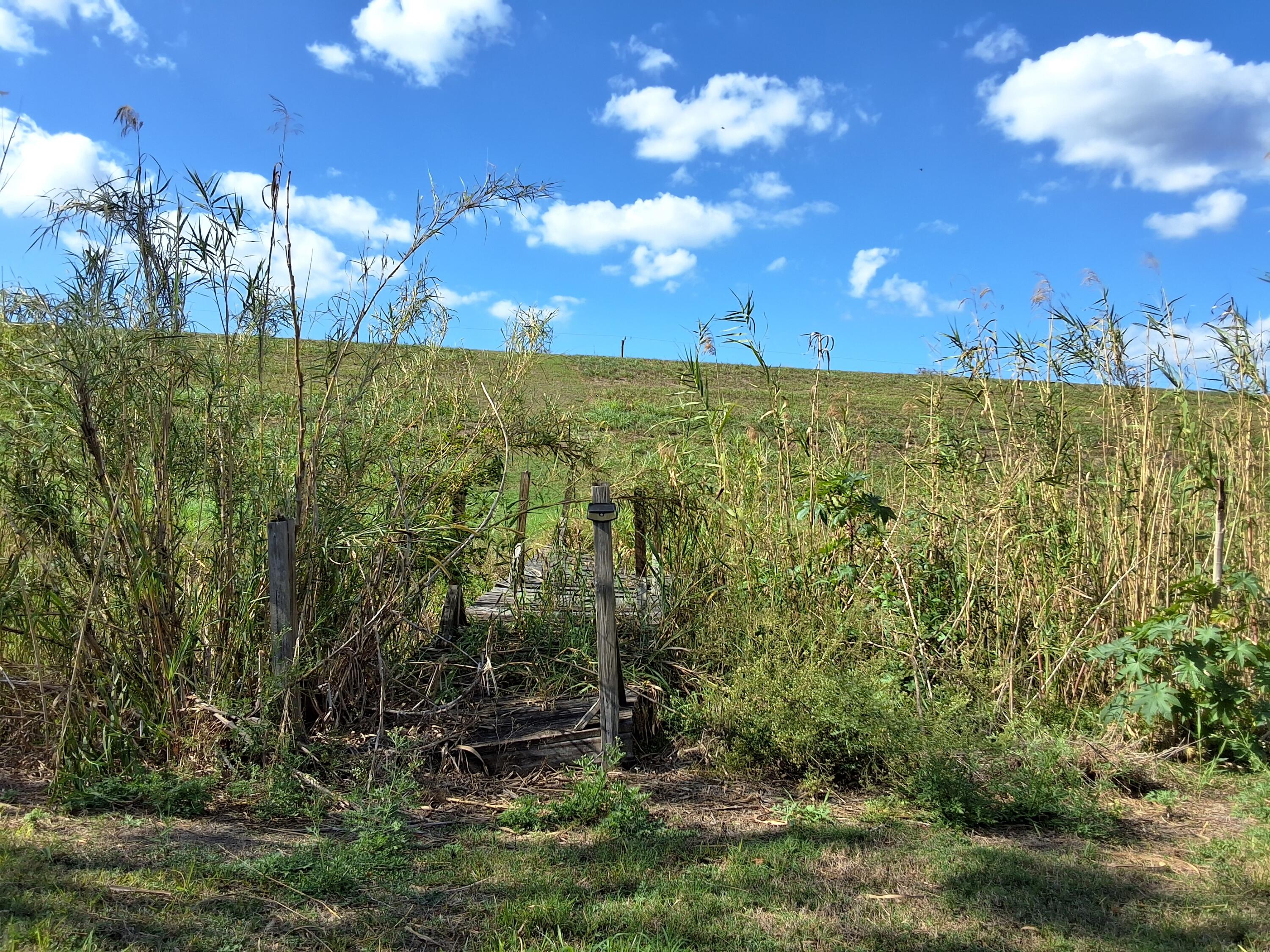 1221 Bacom Point Road Pahokee, FL 33476 - Photo 34 of 39 20260310_161744