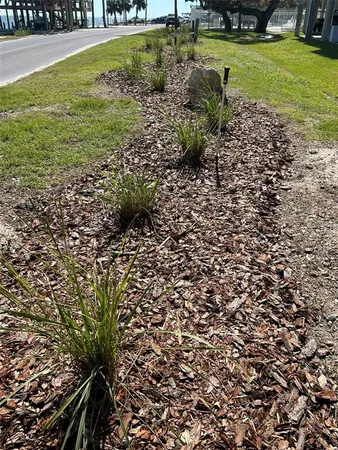a view of a backyard