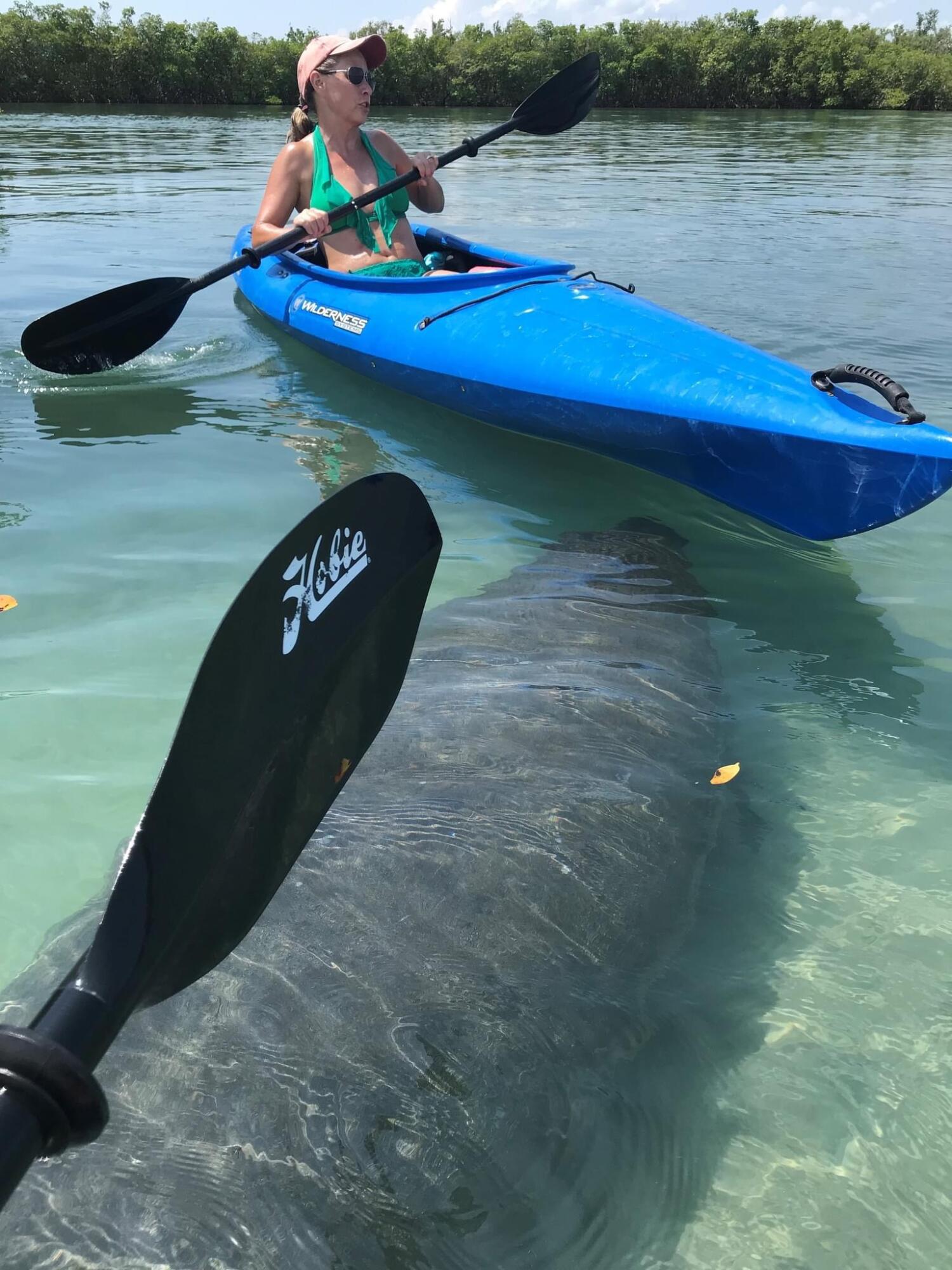 722 Granada Street Fort Pierce, FL 34949 - Photo 36 of 66 IMG_5903