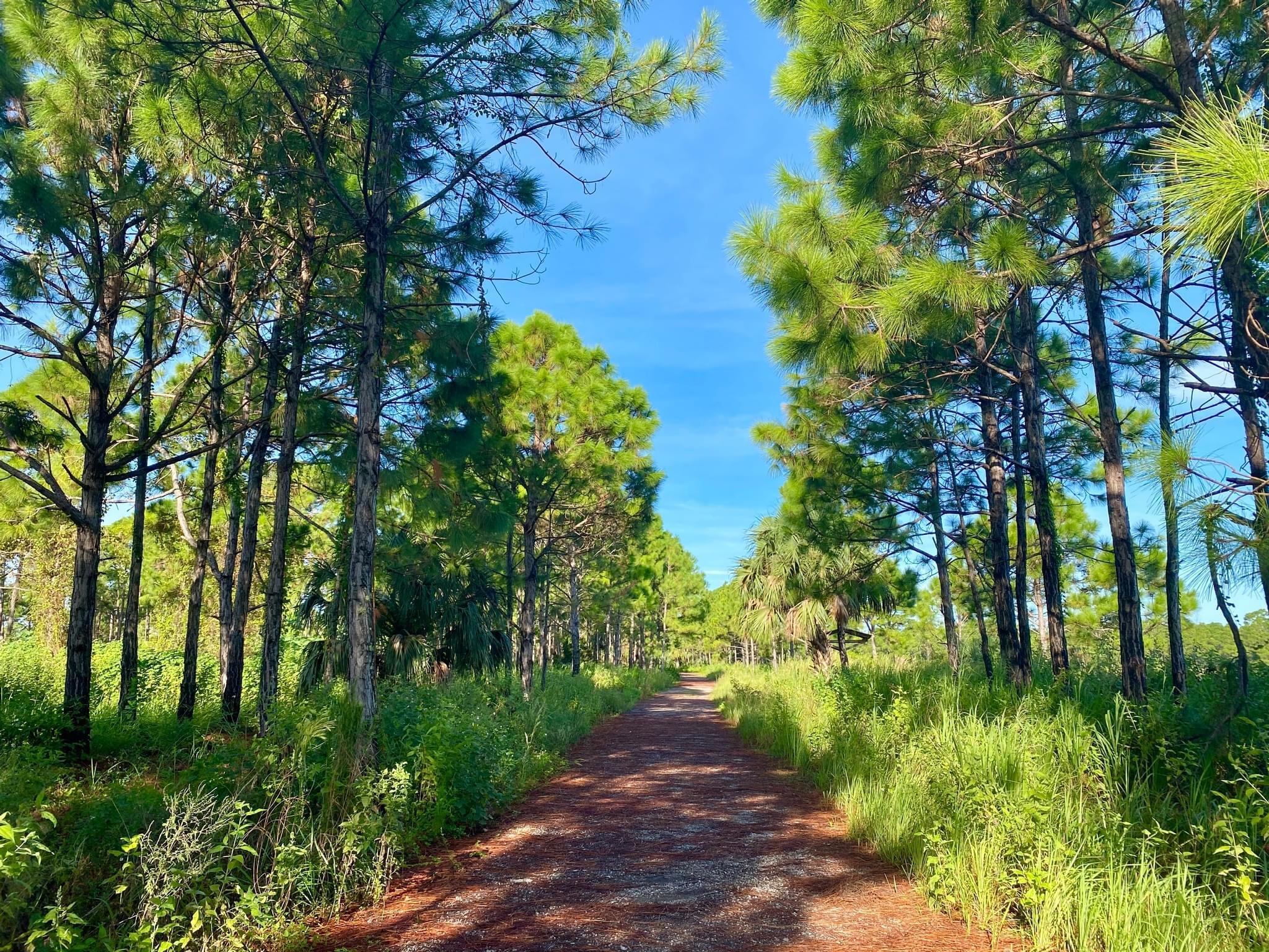 722 Granada Street Fort Pierce, FL 34949 - Photo 44 of 66 IMG_5912