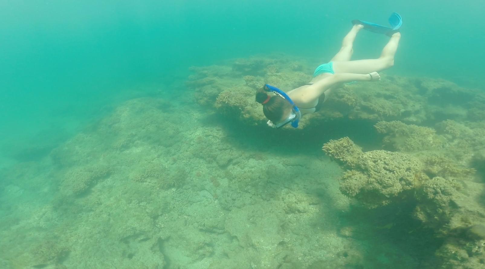 722 Granada Street Fort Pierce, FL 34949 - Photo 56 of 66 IMG_5931