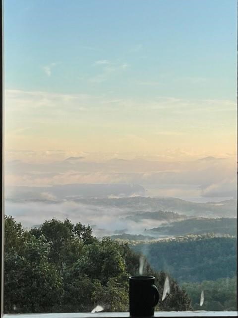 Undisclosed Address Blue Ridge, GA 30513 - Photo 8 of 51 a view of city and mountain