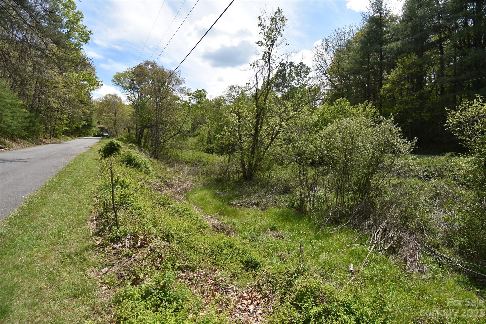 30 Stoney Brook Drive, Unit 30 Clyde, NC 28721 - Photo 3 of 11 a big yard with lots of green space