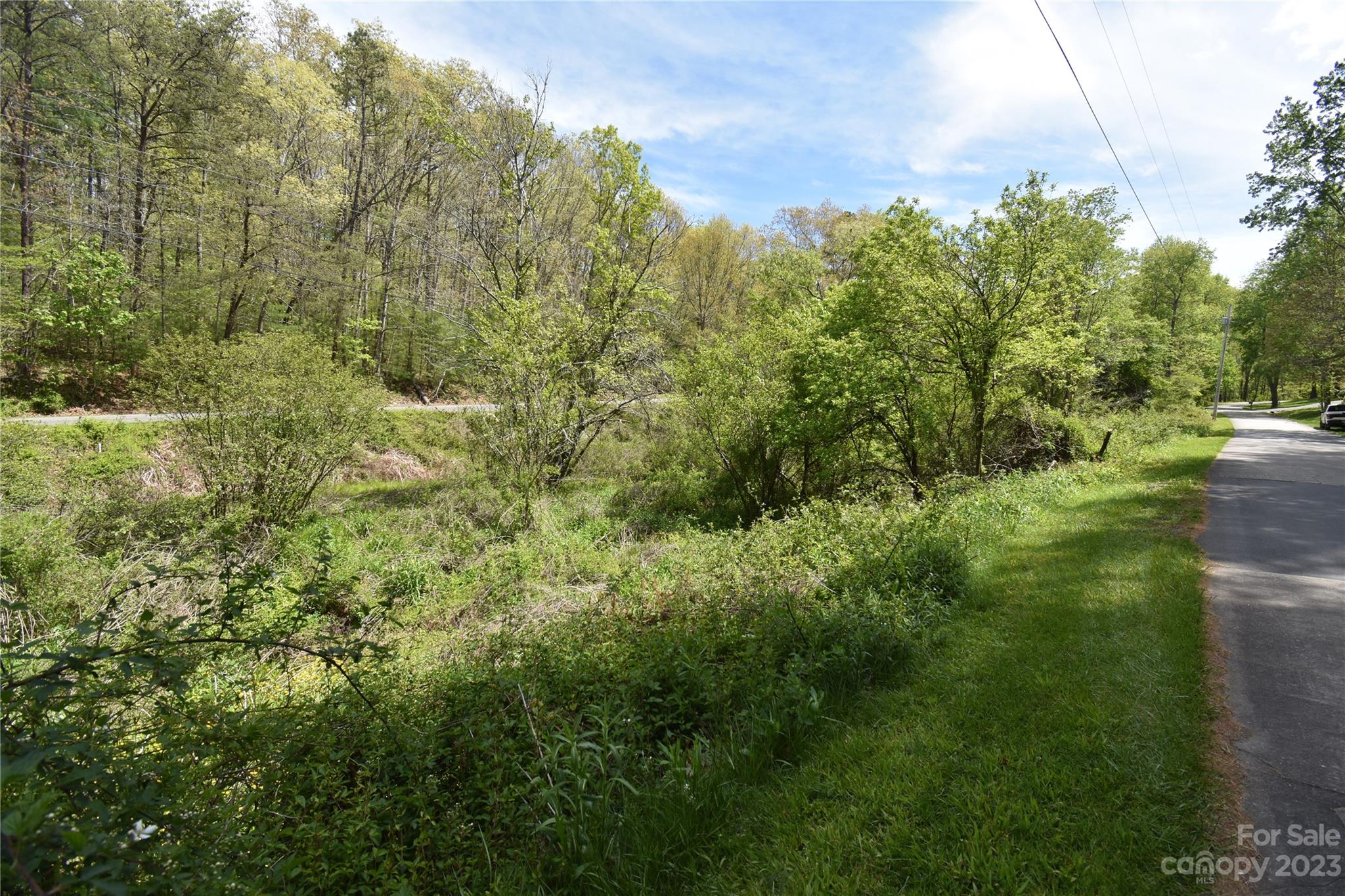 30 Stoney Brook Drive, Unit 30 Clyde, NC 28721 - Photo 4 of 11 a view of a lush green forest