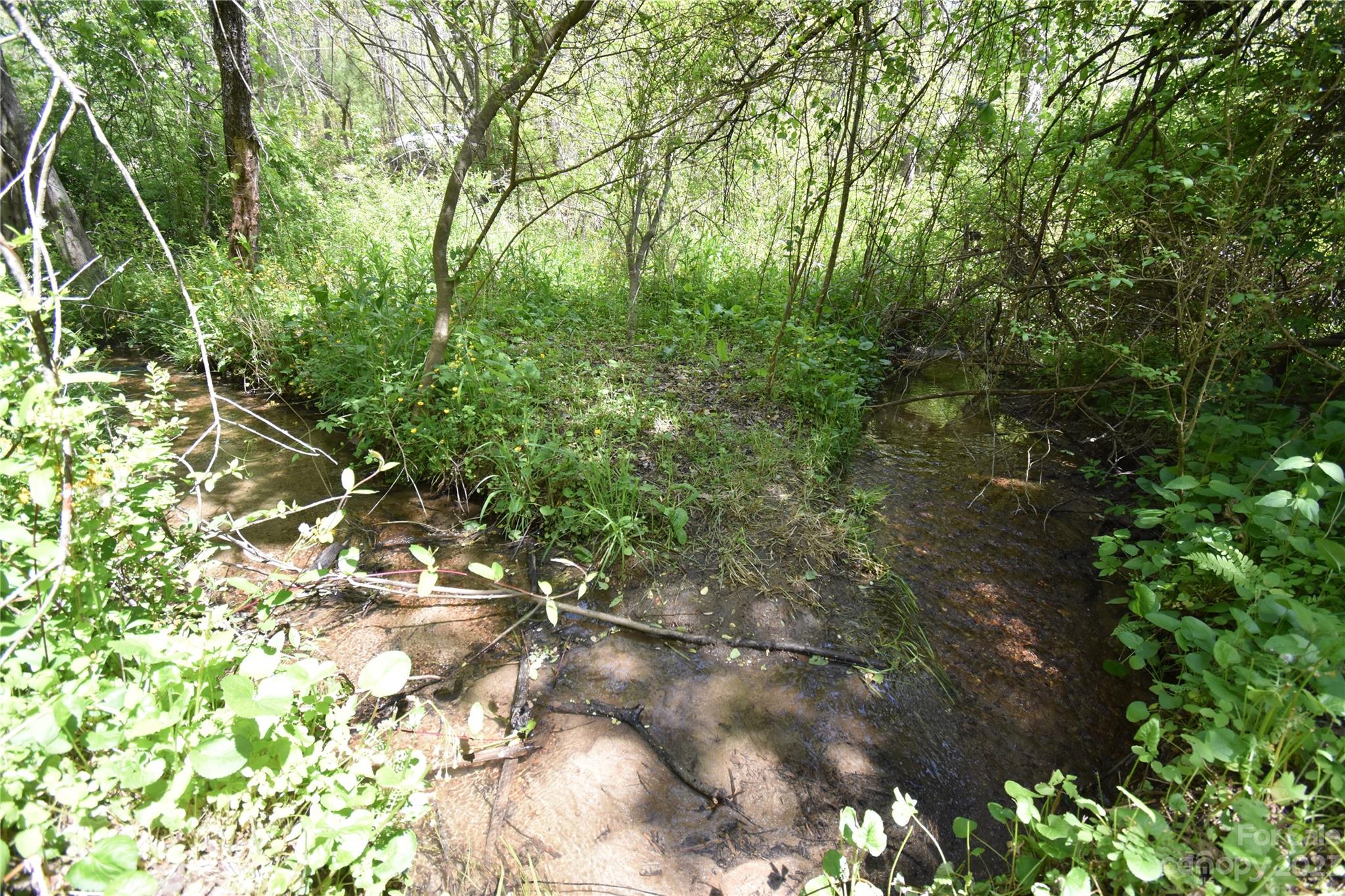 30 Stoney Brook Drive, Unit 30 Clyde, NC 28721 - Photo 5 of 11 a backyard of a house with lots of green space