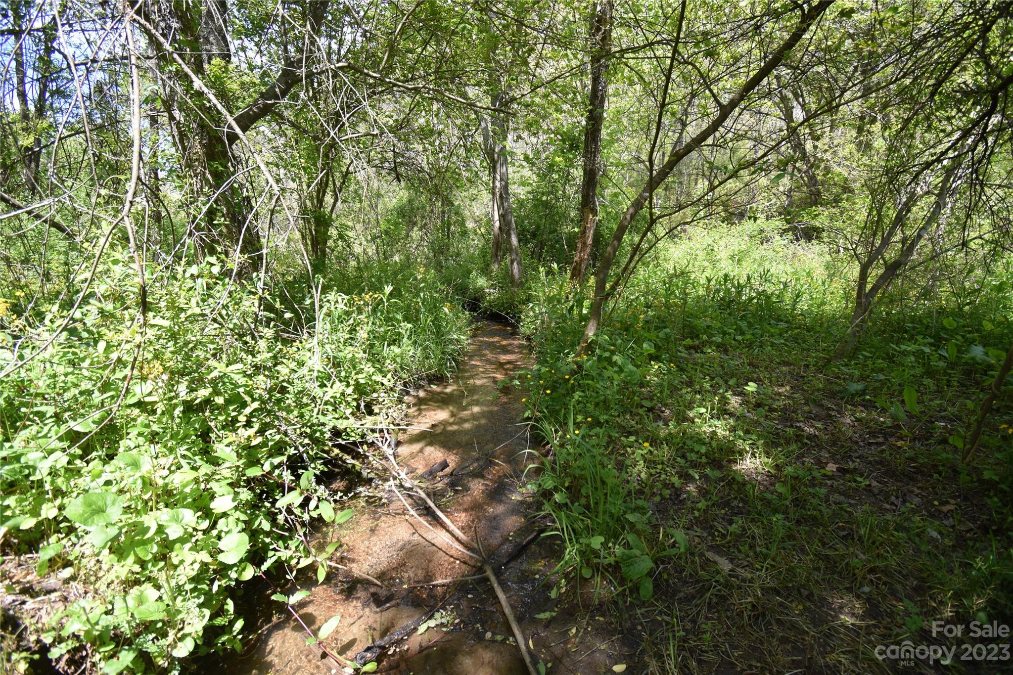 30 Stoney Brook Drive, Unit 30 Clyde, NC 28721 - Photo 6 of 11 a view of a tree in a yard
