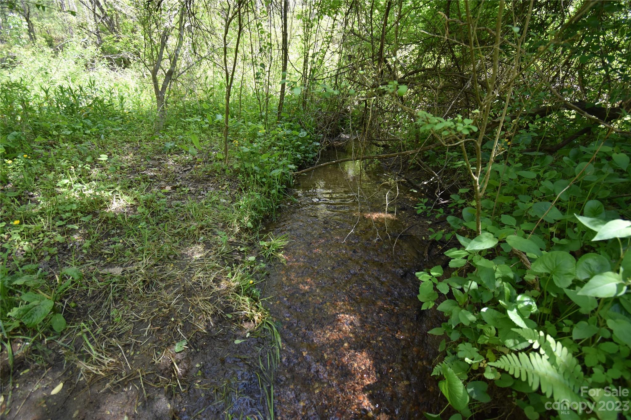 30 Stoney Brook Drive, Unit 30 Clyde, NC 28721 - Photo 7 of 11 a plant view in yard