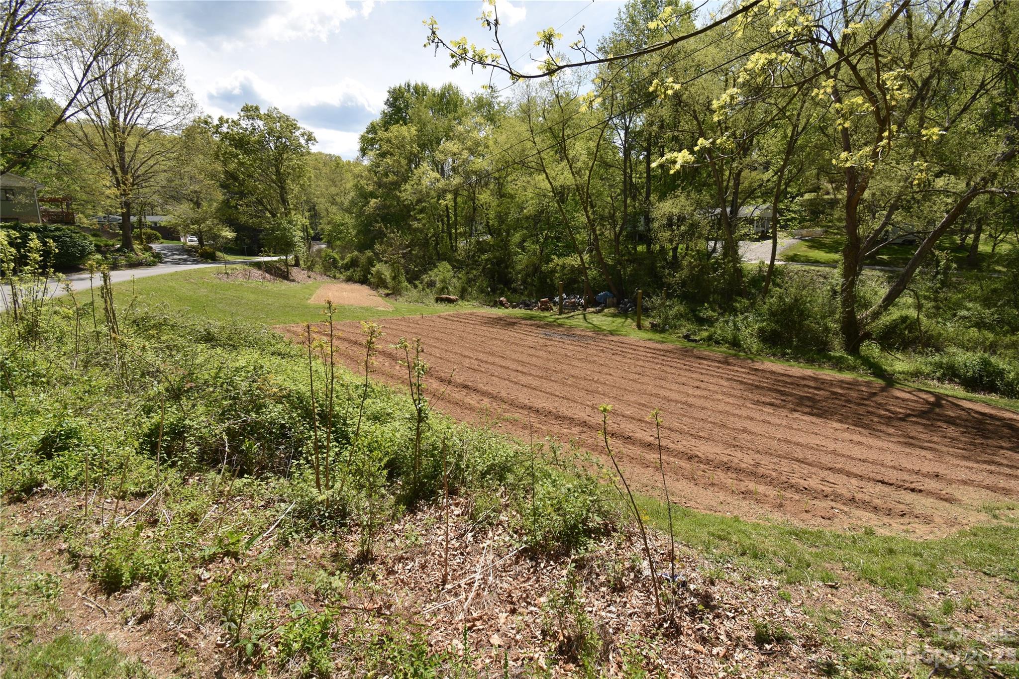 30 Stoney Brook Drive, Unit 30 Clyde, NC 28721 - Photo 9 of 11 a view of a yard with plants and trees
