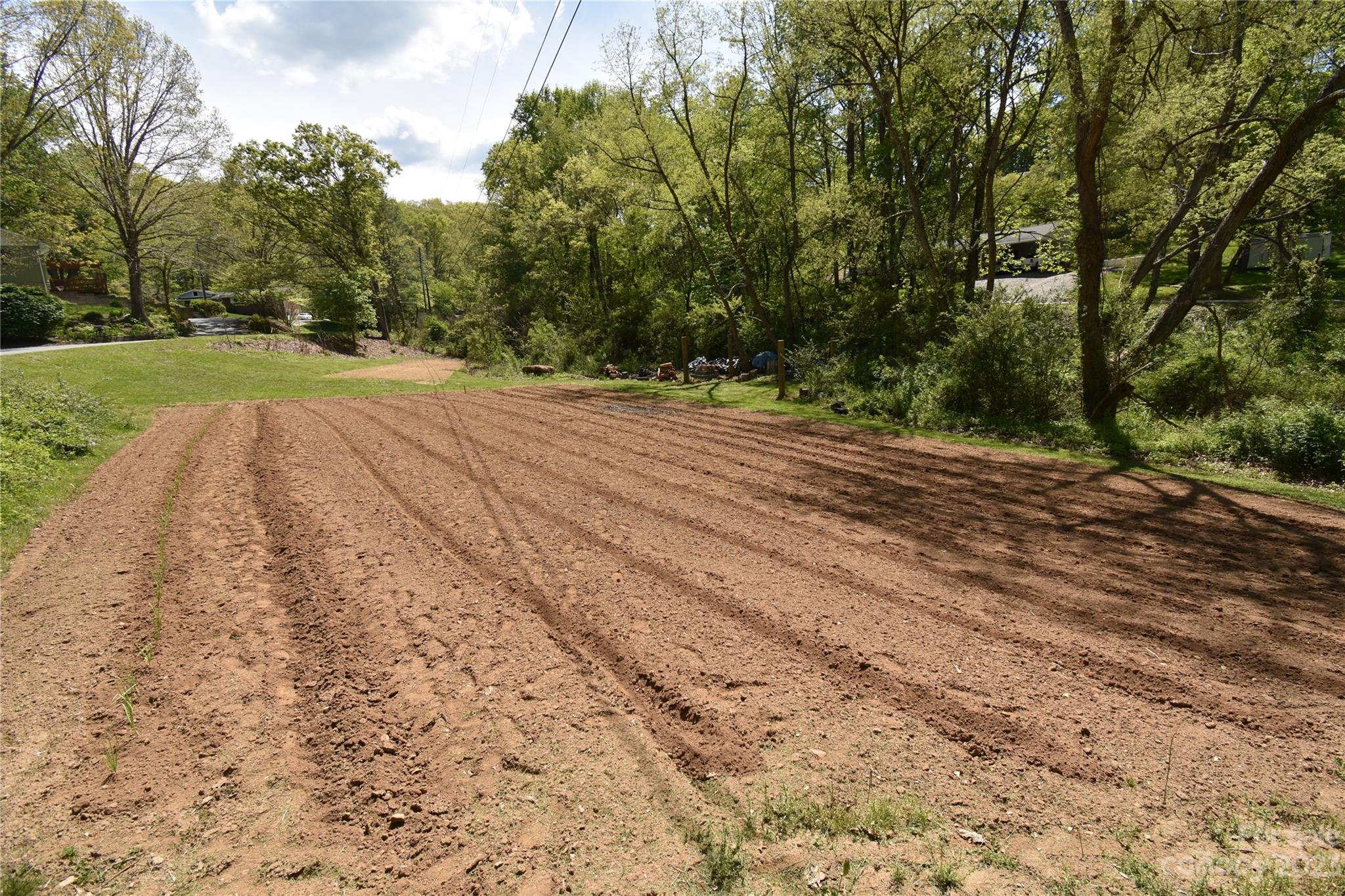 30 Stoney Brook Drive, Unit 30 Clyde, NC 28721 - Photo 10 of 11 a view of a yard with large trees