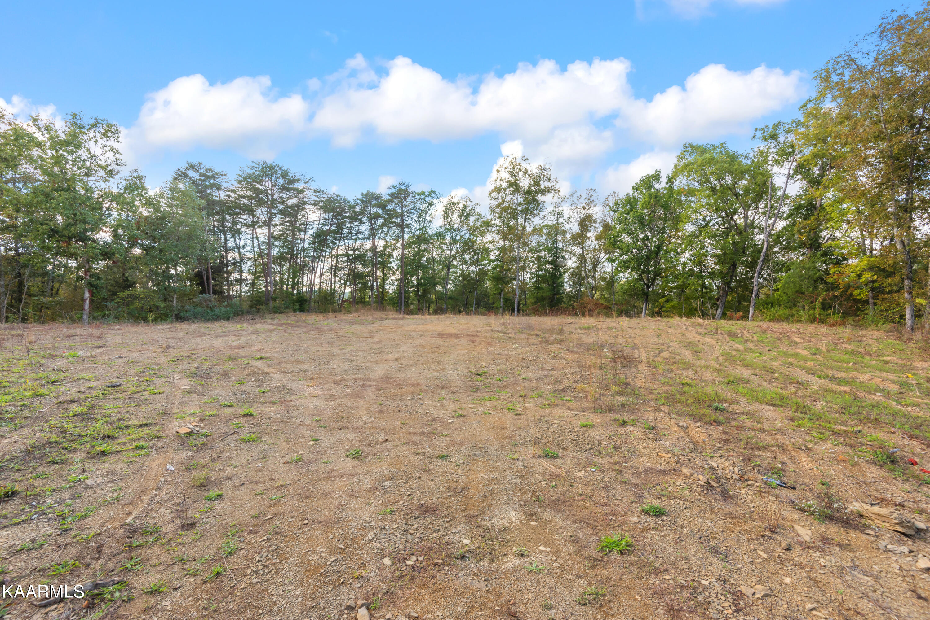 650 Shaddon Road Tellico Plains, TN 37385 - Photo 2 of 22 650 Shadden Road-2