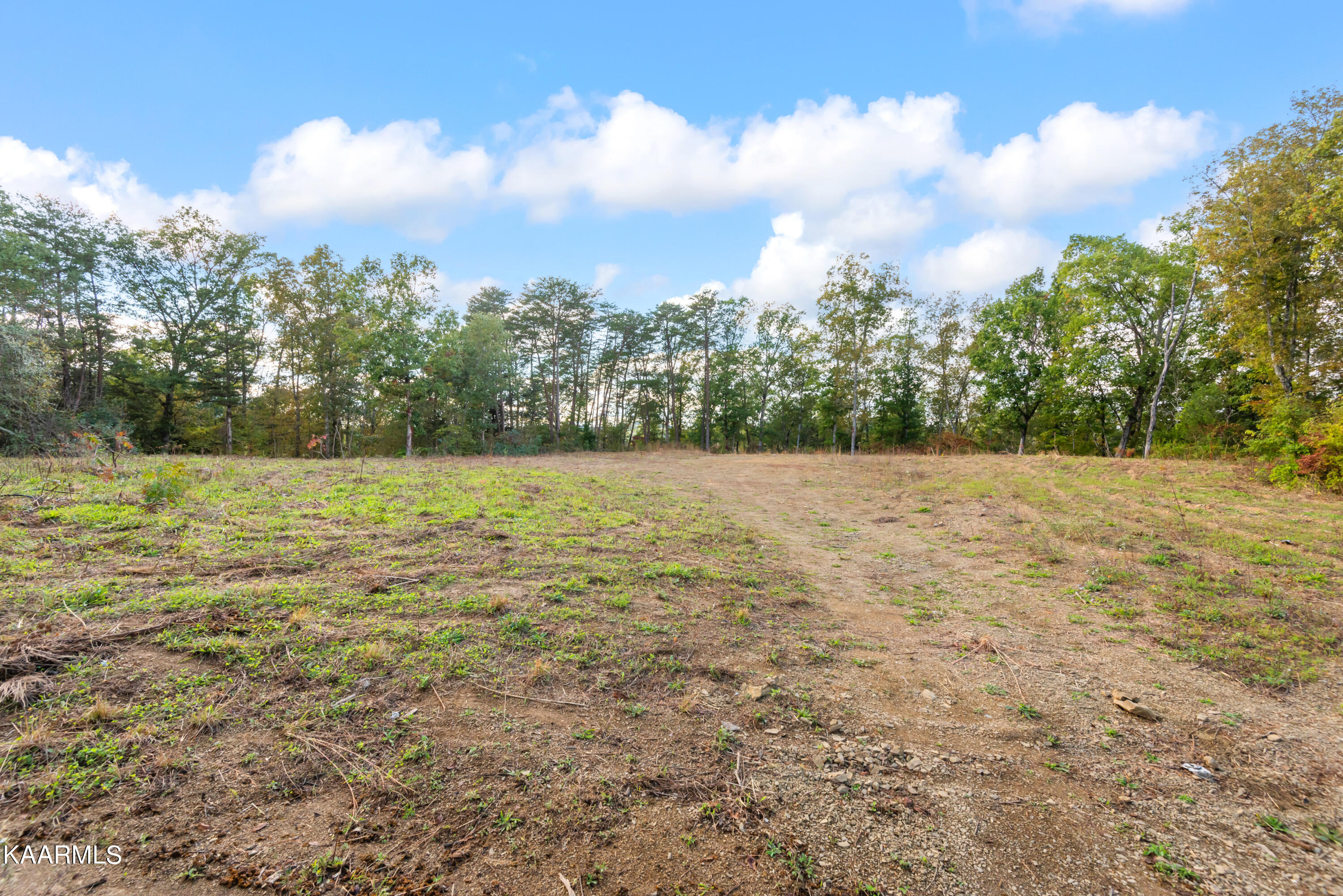 650 Shaddon Road Tellico Plains, TN 37385 - Photo 11 of 22 650 Shadden Road