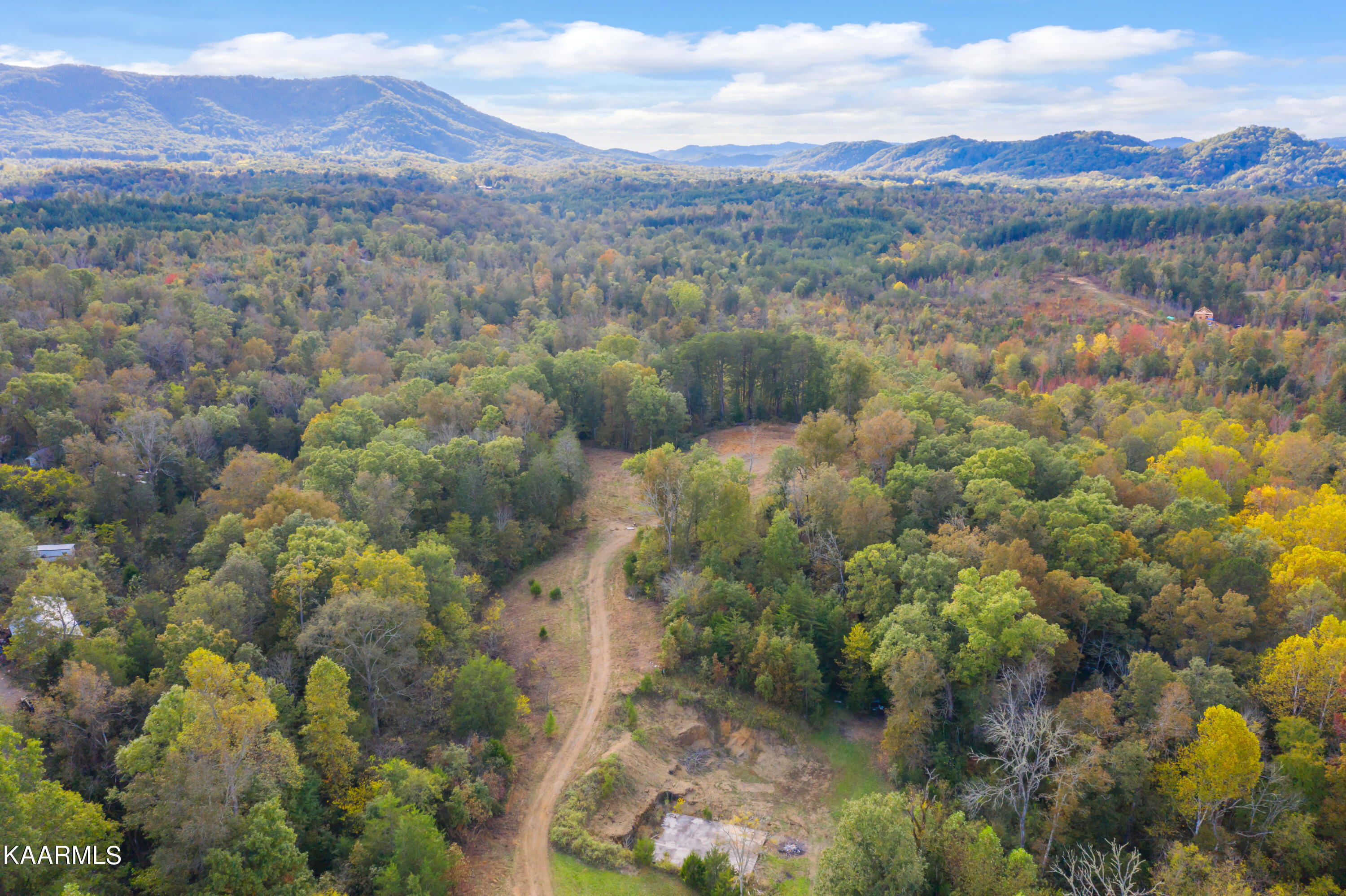 650 Shaddon Road Tellico Plains, TN 37385 - Photo 15 of 22 650 Shadden Road-15