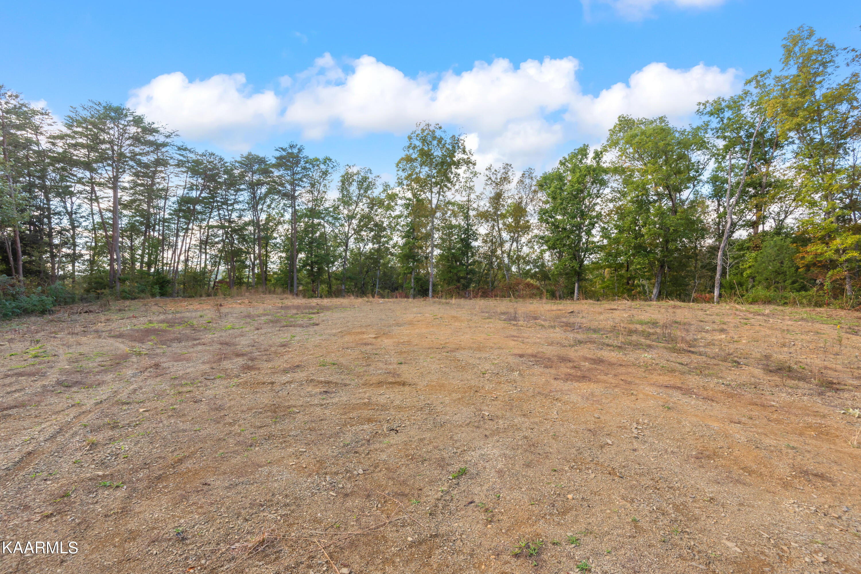 650 Shaddon Road Tellico Plains, TN 37385 - Photo 3 of 22 650 Shadden Road-3