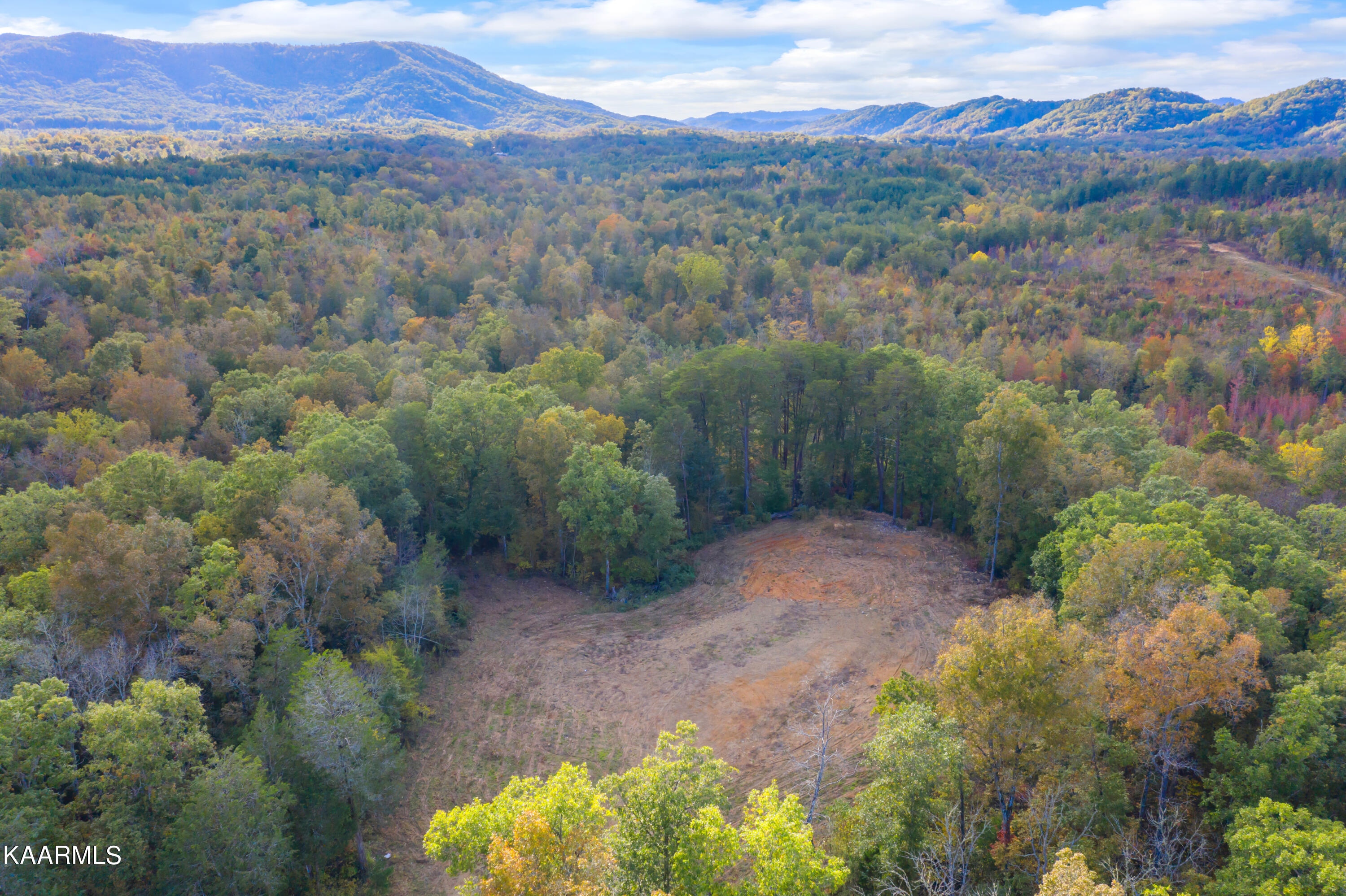 650 Shaddon Road Tellico Plains, TN 37385 - Photo 4 of 22 650 Shadden Road-8