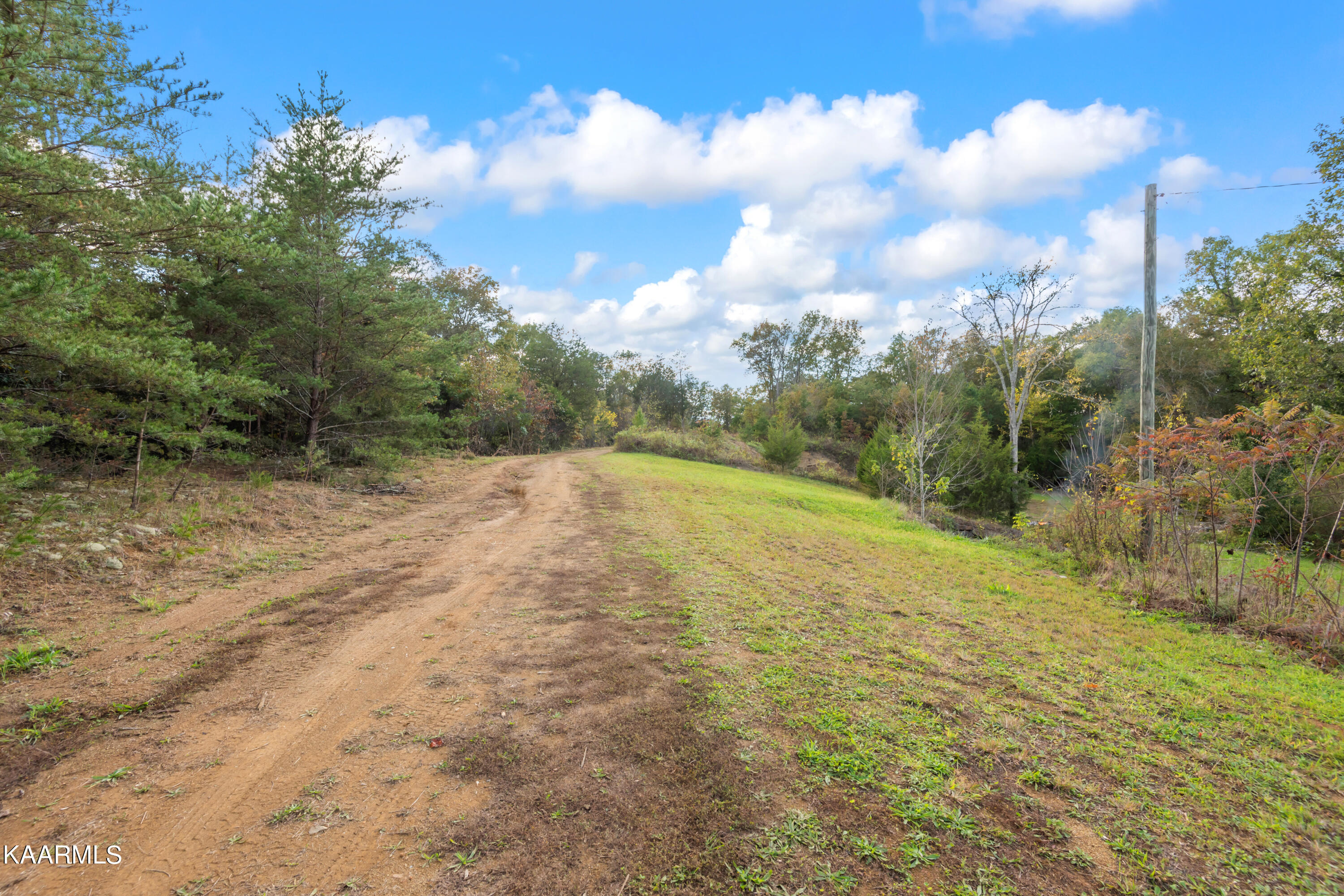 650 Shaddon Road Tellico Plains, TN 37385 - Photo 6 of 22 650 Shadden Road-6