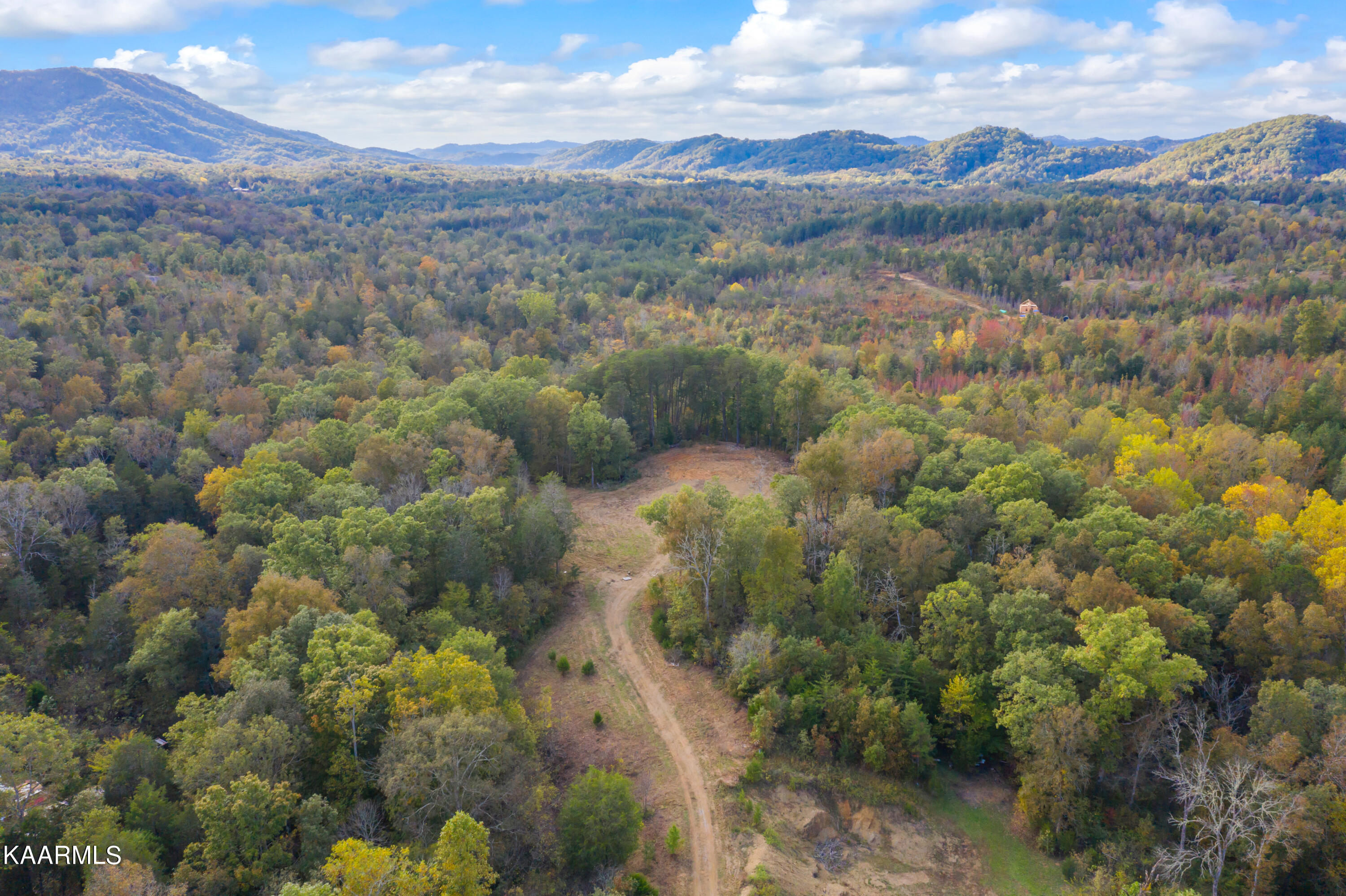 650 Shaddon Road Tellico Plains, TN 37385 - Photo 8 of 22 650 Shadden Road-14