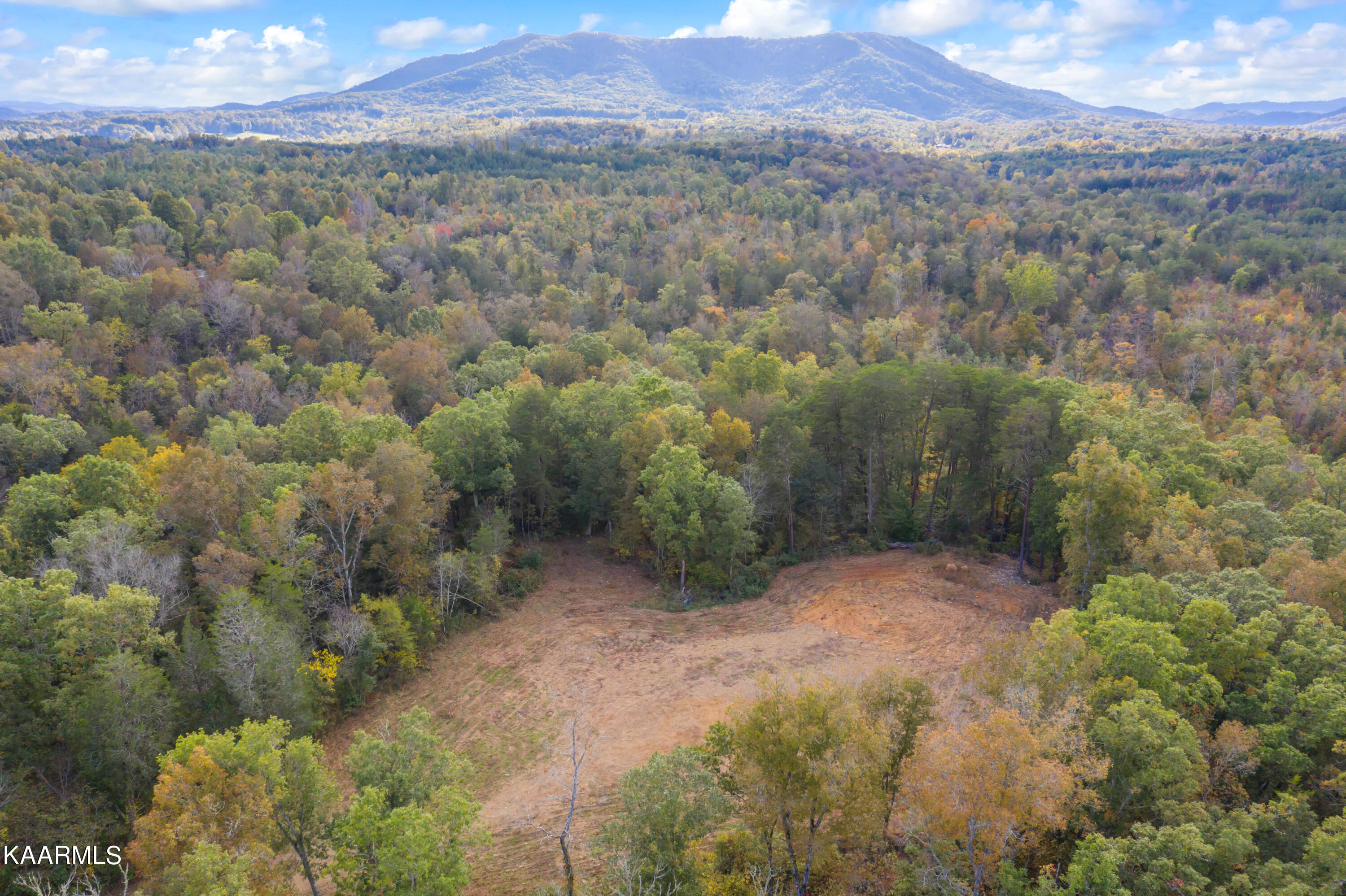 650 Shaddon Road Tellico Plains, TN 37385 - Photo 10 of 22 650 Shadden Road-22