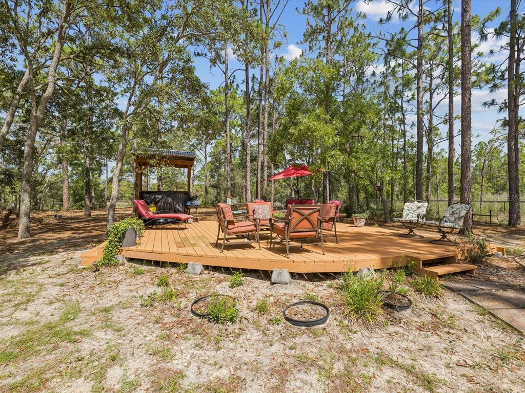 12229 Barnevelde Road Weeki Wachee, FL 34614 - Photo 42 of 63