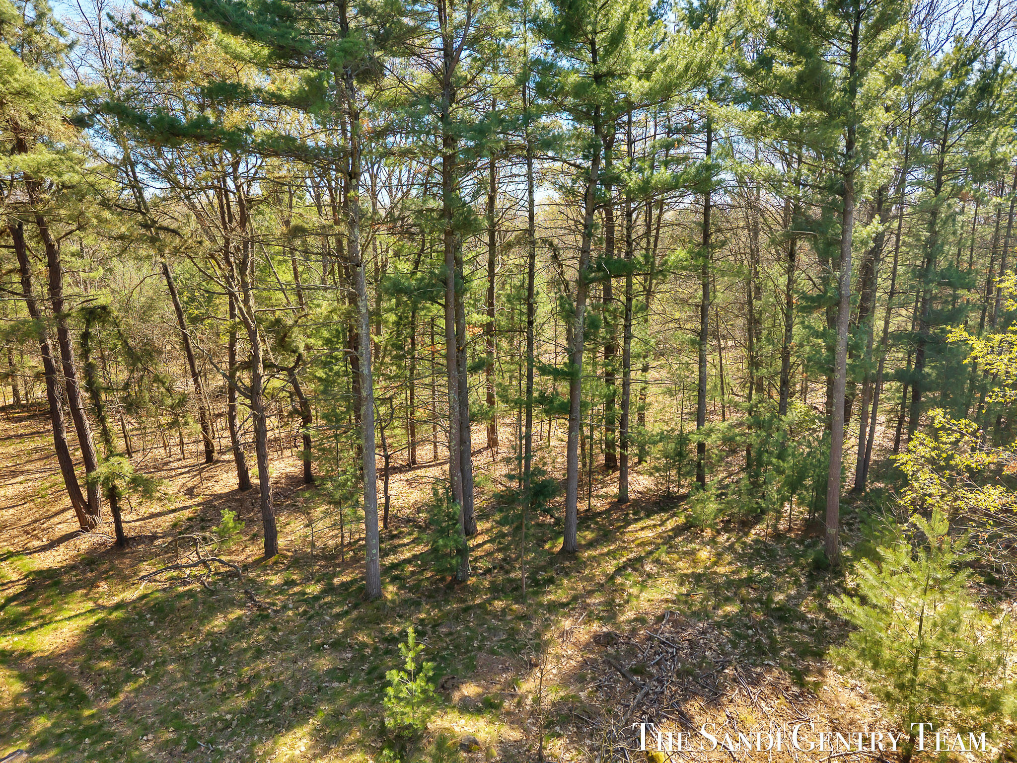 Whitehall Road Whitehall, MI 49461 - Photo 2 of 13 DJI_20260514163559_0378_D_KYLE